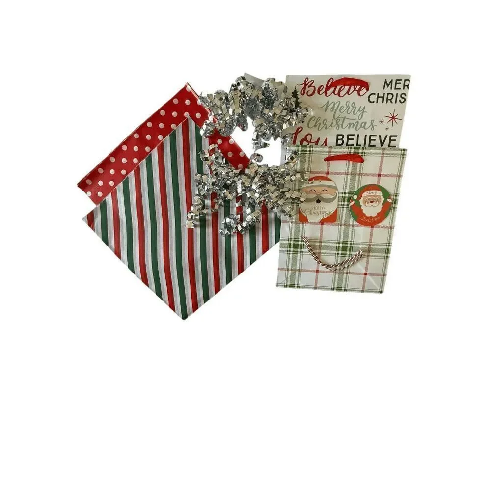 B4. Complete Gift Bag Set- Set of 2